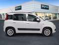 Fiat Panda 1.2 Lounge Blanco - thumbnail 4