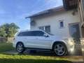 Mercedes-Benz GL 500 Blue Efficiency 4MATIC Aut. - thumbnail 3