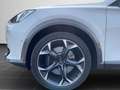 CUPRA Formentor VZ 2.0 TSI 4Drive NAVI KAMERA ACC Weiß - thumbnail 8
