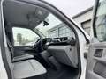 Volkswagen T6 Transporter 6.1 Kasten TDI 4Motion AHK*Tempom Weiß - thumbnail 6