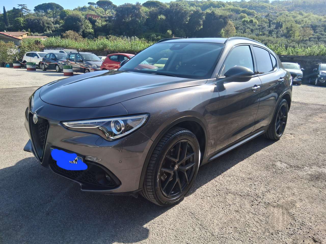 Alfa Romeo Stelvio Stelvio 2.2 t Business Q4 190cv auto my19