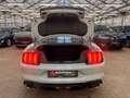 Ford Mustang 5.0 Ti-VCT V8 Mach 1|LED|MagneRide|Leder Grau - thumbnail 6