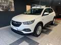 Opel Grandland X Edition  (1.Hand,NAVI,SHZ) Weiß - thumbnail 3