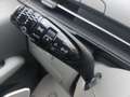 Hyundai STARIA +Signature+4x4+VOLL+Panoramadach Gris - thumbnail 11