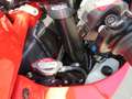 Ducati Desmosedici RR Rood - thumbnail 22