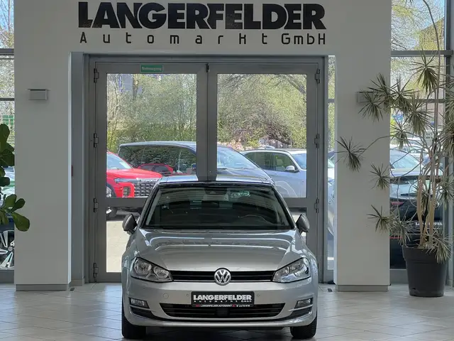 Volkswagen Golf view 10