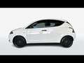 Lancia Ypsilon 1.2 Gold s&s 69cv my19 Bianco - thumbnail 15