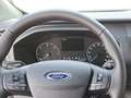 Ford 300 L1H1 LKW VA Trend Blanco - thumbnail 13
