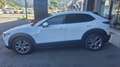 Mazda CX-30 CX-30 2.0 m-hybr Executive App. Pack 2wd 150cv 6mt Blanc - thumbnail 7