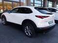 Mazda CX-30 CX-30 2.0 m-hybr Executive App. Pack 2wd 150cv 6mt Blanc - thumbnail 4