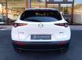 Mazda CX-30 CX-30 2.0 m-hybr Executive App. Pack 2wd 150cv 6mt Blanc - thumbnail 6