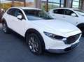 Mazda CX-30 CX-30 2.0 m-hybr Executive App. Pack 2wd 150cv 6mt Blanc - thumbnail 2