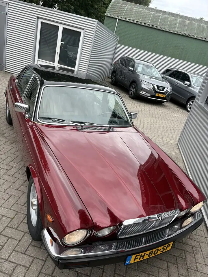 Jaguar XJ 5.3 V12 HE -ORIGINEEL NEDERLANDS-WEGENBELASTING VR, foto 12