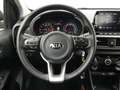 Kia Picanto 1.0 DPi 67pk 4-zits DynamicLine Gris - thumbnail 10