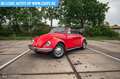 Volkswagen 1500 Karmann Rood - thumbnail 4