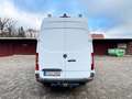 Mercedes-Benz Sprinter III Kasten RWD/AWD 311/314/316 CDI Weiß - thumbnail 5