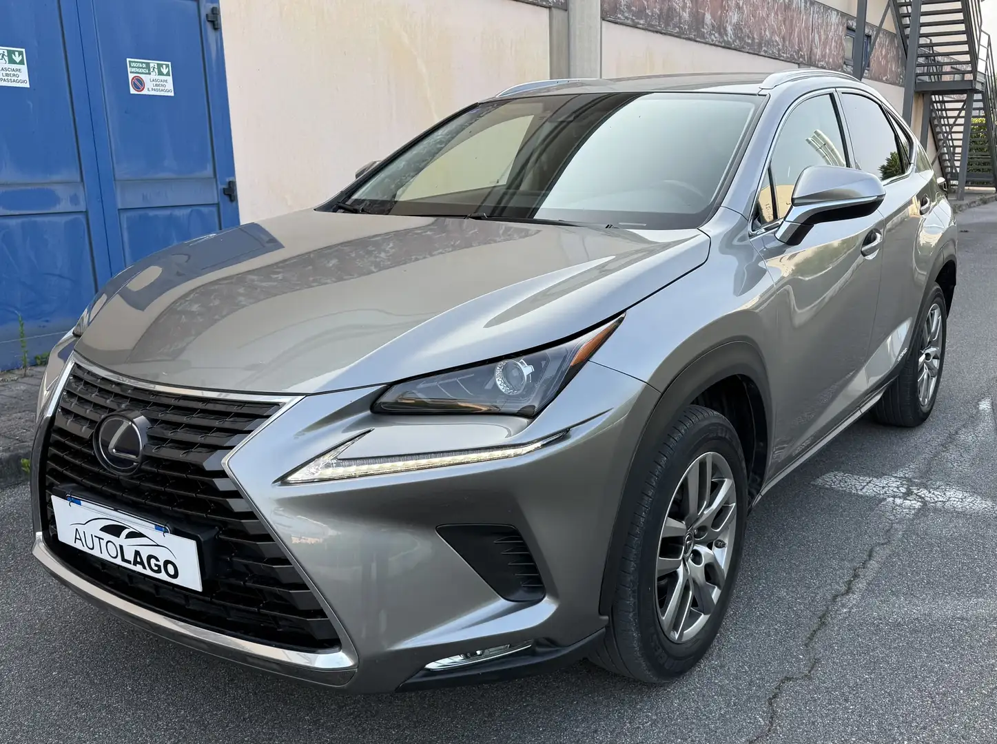 Lexus NX 300 300h 2.5 Business 2wd cvt Gris - 2
