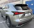 Lexus NX 300 300h 2.5 Business 2wd cvt Gris - thumbnail 6