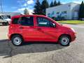 Fiat Panda Hybrid VAN Rojo - thumbnail 13