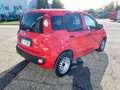 Fiat Panda Hybrid VAN Rojo - thumbnail 12