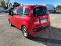 Fiat Panda Hybrid VAN Rojo - thumbnail 9