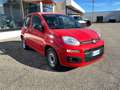 Fiat Panda Hybrid VAN Rojo - thumbnail 3