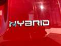 Fiat Panda Hybrid VAN Rojo - thumbnail 14