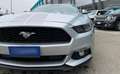 Ford Mustang Convertible 2.3 ecoboost 317cv auto Argento - thumbnail 3