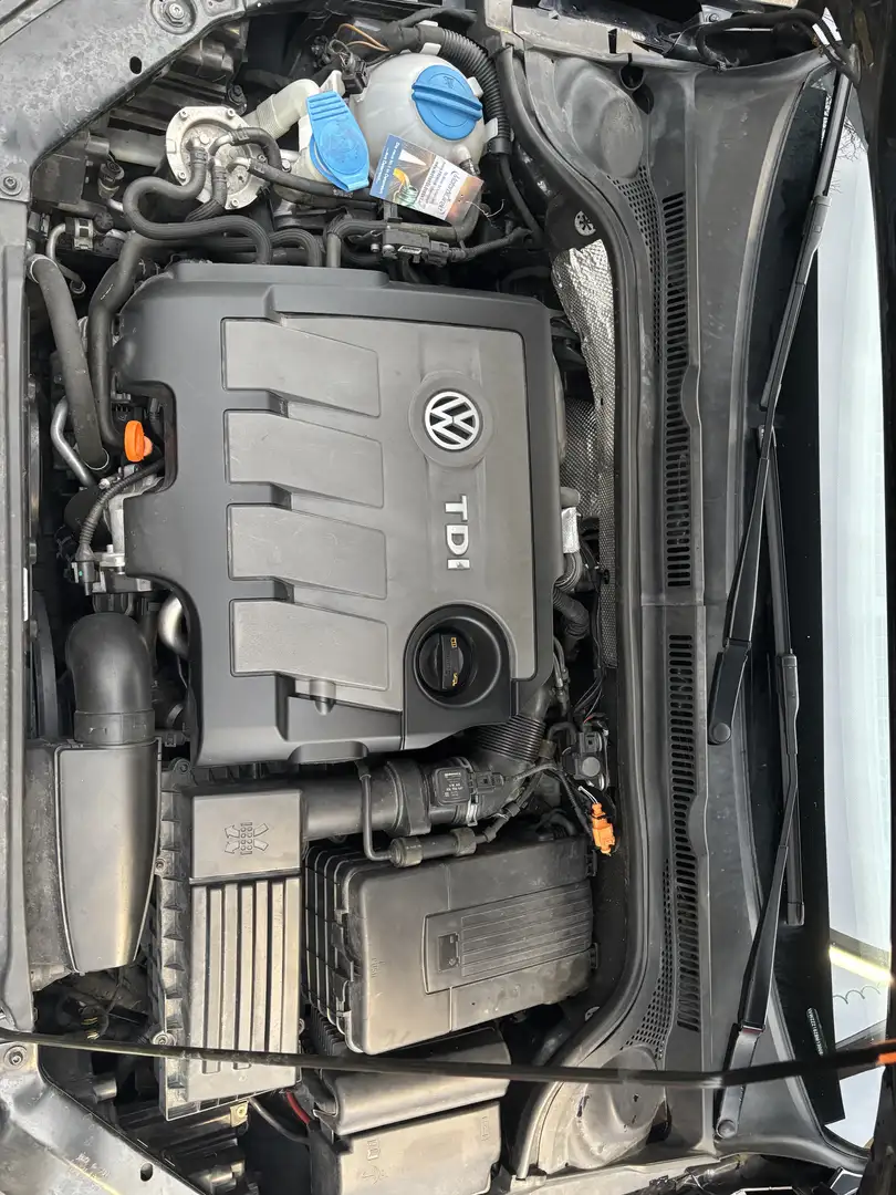 Volkswagen Jetta 1,6 TDI BLUEMOTION Schwarz - 1