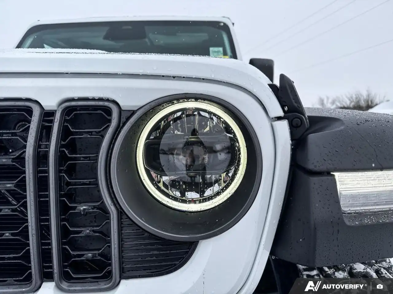 Jeep Wrangler fotografie Jeep Wrangler