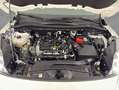 Ford Kuga 1.5 EcoBoost ST-LINE, AHK, Gjr Weiß - thumbnail 23