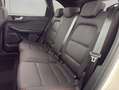Ford Kuga 1.5 EcoBoost ST-LINE, AHK, Gjr Weiß - thumbnail 19