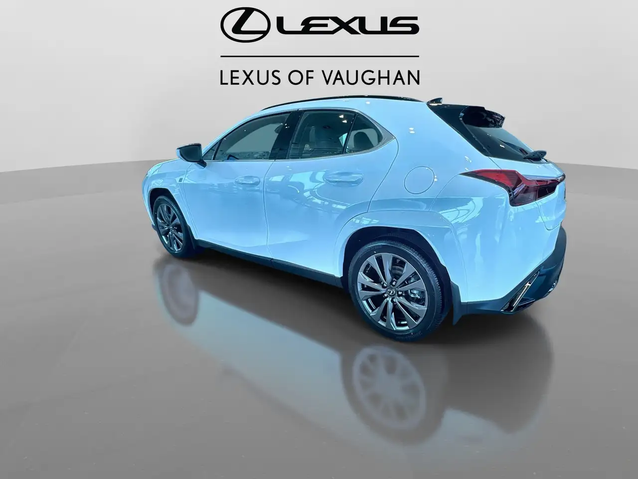 Lexus UX 300h снимка Lexus UX 300h