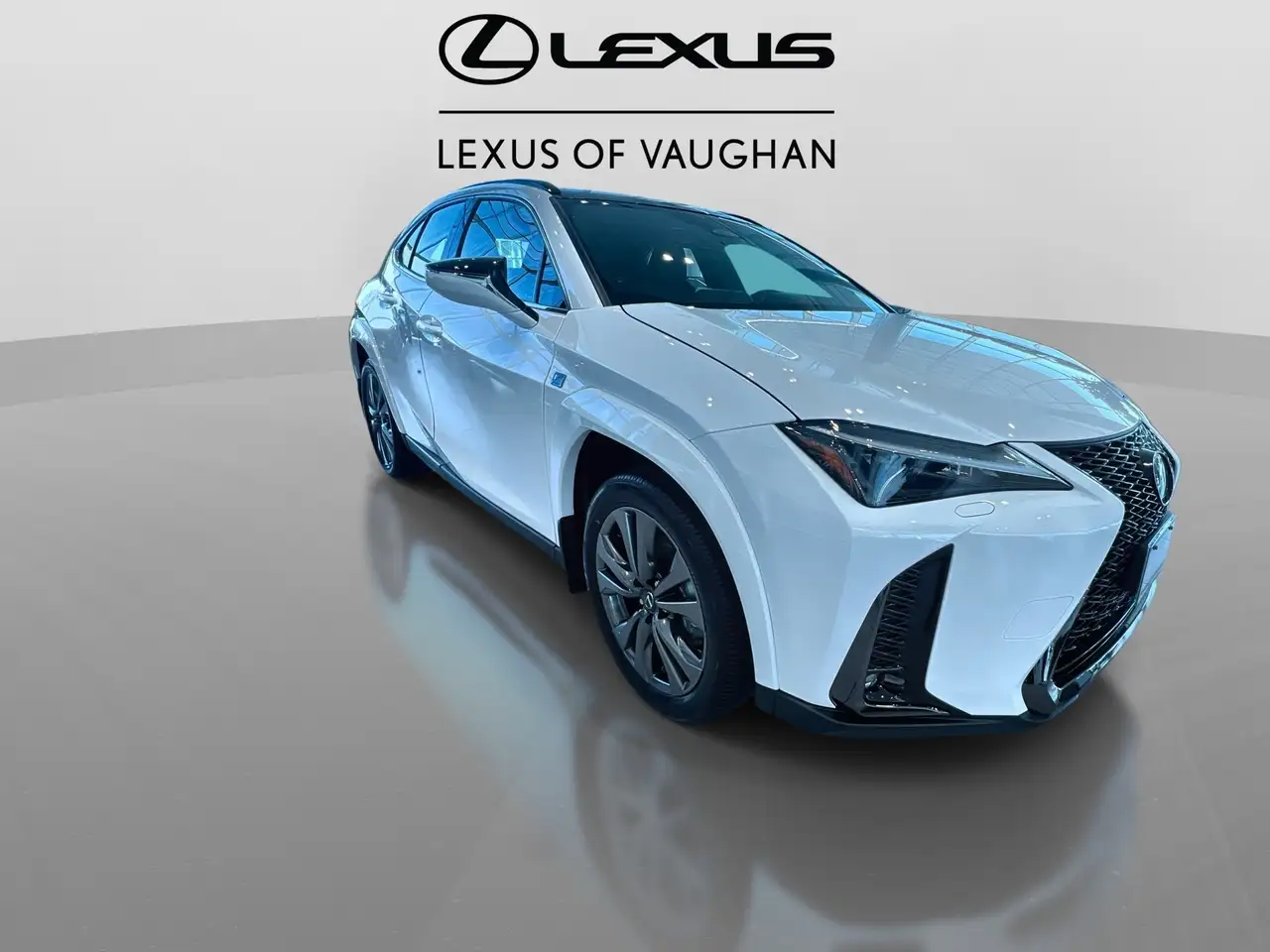 Lexus UX 300h снимка Lexus UX 300h