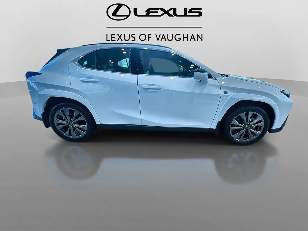 Lexus UX 300h снимка Lexus UX 300h