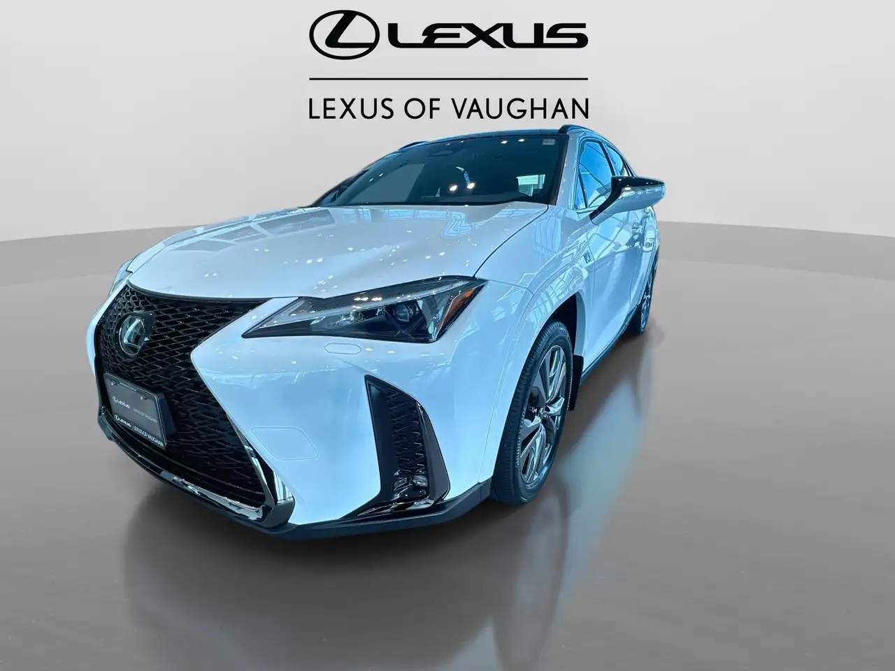 Lexus UX 300h снимка Lexus UX 300h