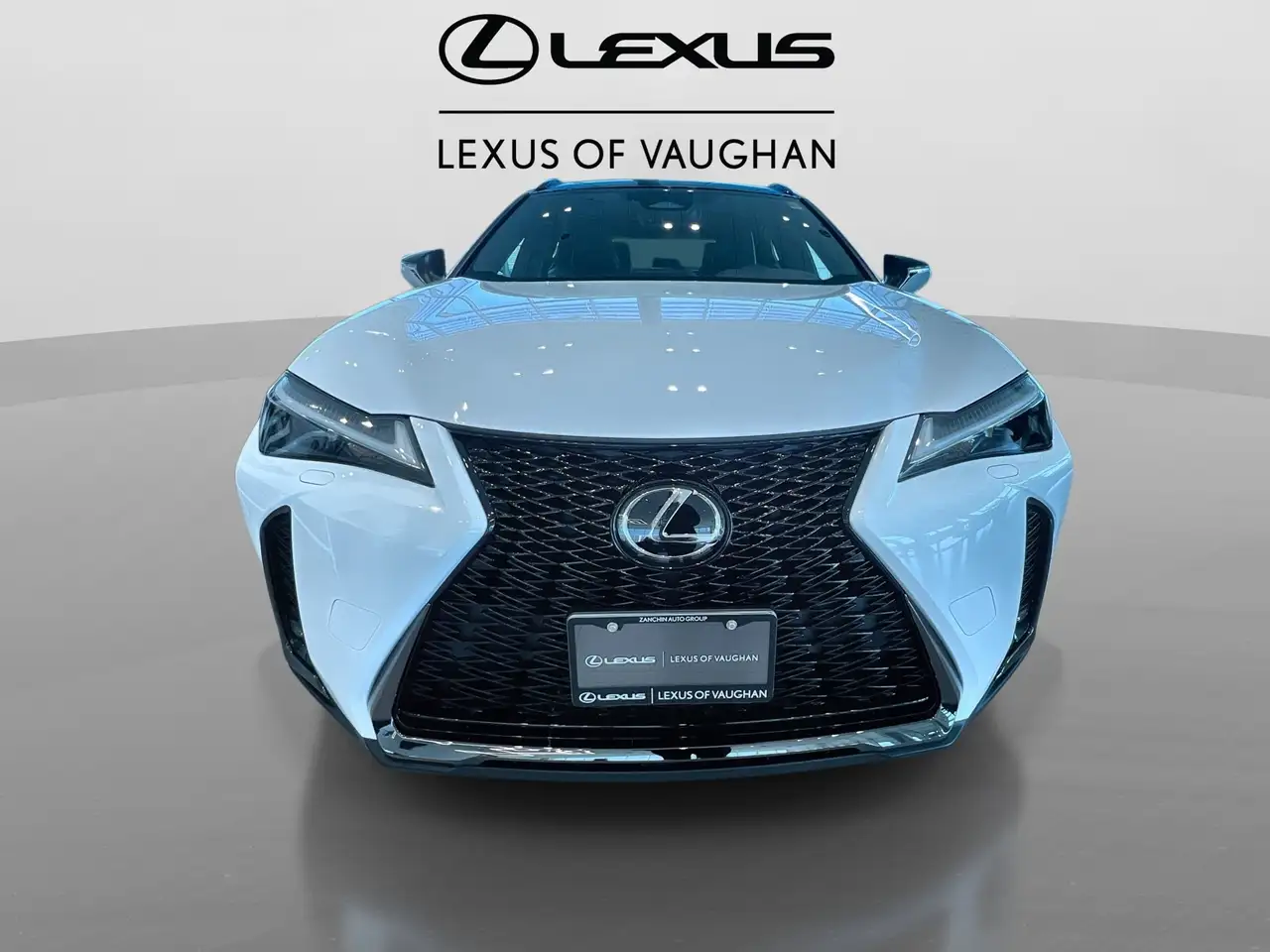 Lexus UX 300h снимка Lexus UX 300h