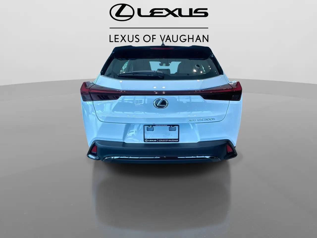 Lexus UX 300h снимка Lexus UX 300h