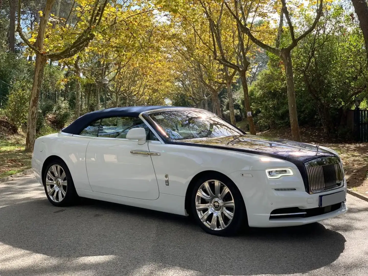 Rolls-Royce Dawn " Ghost Family" Blanc - 1