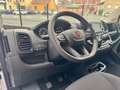 Fiat Ducato 30 2.2 Mjt 120CV PM-TM Furgone Bianco - thumbnail 10