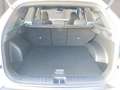 Hyundai TUCSON NX4 Trend Line PLUS 1,6 CRDi 4WD 48V DCT t1 Weiß - thumbnail 11