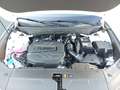 Hyundai TUCSON NX4 Trend Line PLUS 1,6 CRDi 4WD 48V DCT t1 Weiß - thumbnail 17