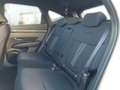 Hyundai TUCSON NX4 Trend Line PLUS 1,6 CRDi 4WD 48V DCT t1 Weiß - thumbnail 10