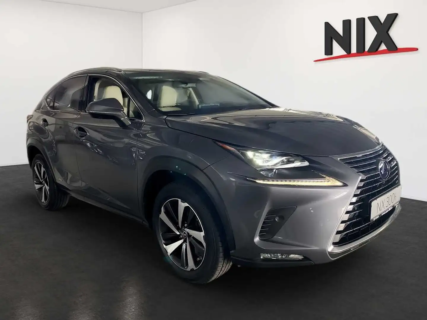 Lexus NX 300h E-FOUR Luxury Line NAVI PANO 360° KAMERA Grau - 2