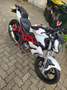 Benelli BN 125 2021 Bianco - thumbnail 2