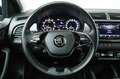 Skoda Fabia 1.0 TSI Clever*PDC*SHZ*CLIMATRONIC*SMARTLI Blau - thumbnail 13
