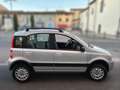 Fiat Panda 1.2 4x4 - ANCHE PER NEOPATENTATI Grigio - thumbnail 6