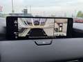 Mazda CX-60 2.5L e-SKYACTIV PHEV AWD HOMURA Aut. Rot - thumbnail 16