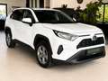 Toyota RAV 4 Hybrid 2,5 Hybrid Aut. Weiß - thumbnail 2