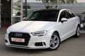 Audi A3 2.0 TDI quattro LED Navi Kamera SHZ PDC Blanc - thumbnail 2